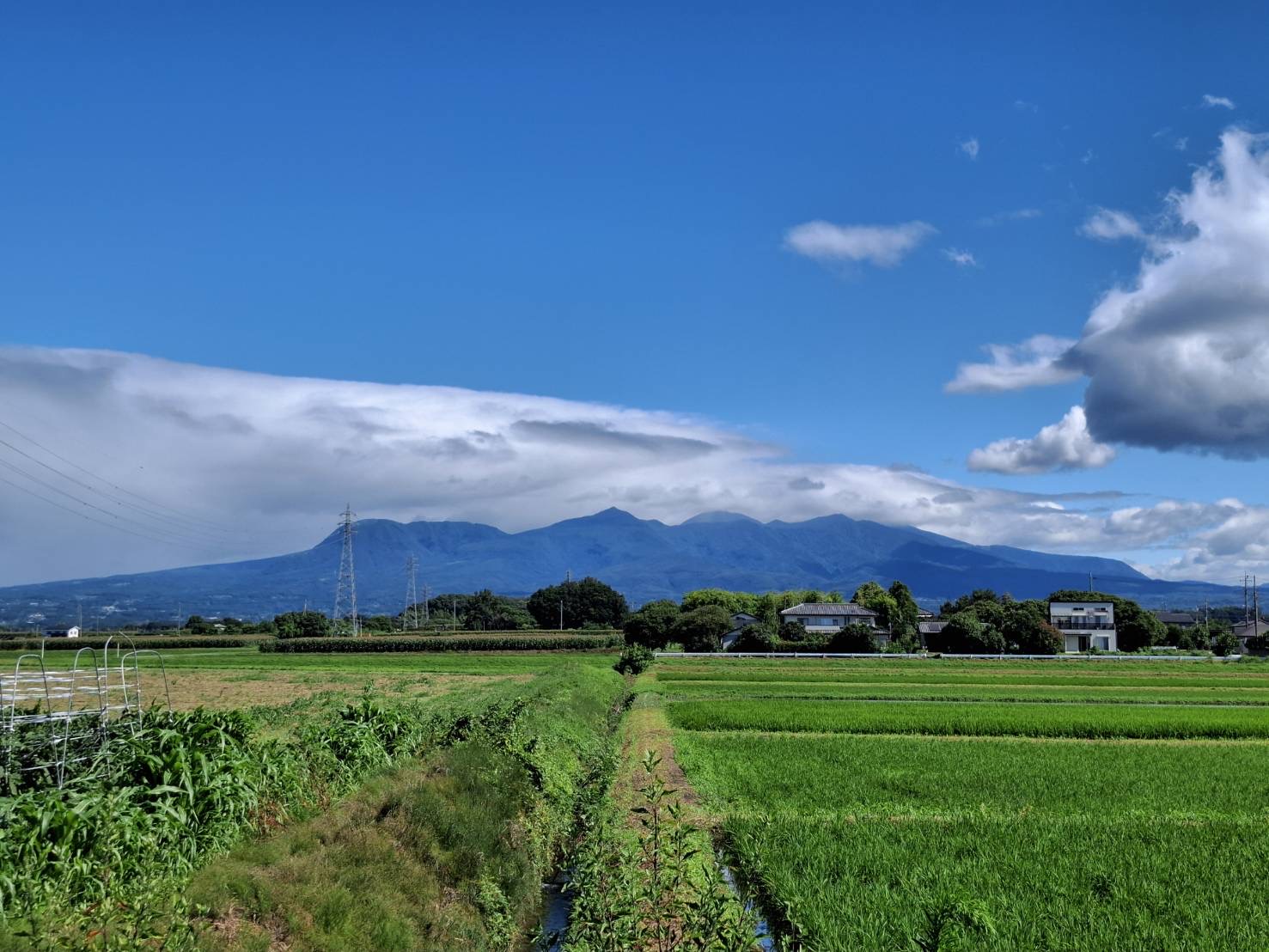 栽培・福祉への取り組み